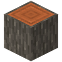 Acacia Log