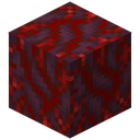 Crimson Hyphae