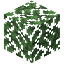 Dark Oak Leaves