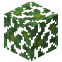 Jungle Leaves