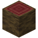 Mangrove Log
