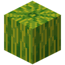 Melon