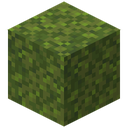 Moss Block