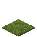 Moss Carpet
