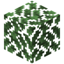 Oak Leaves