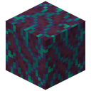 Warped Hyphae